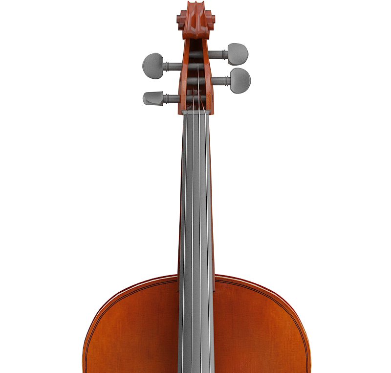 Treino Braço Cello